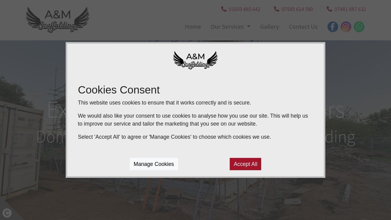 A&M SCAFFOLDING NORFOLK LTD website screenshot