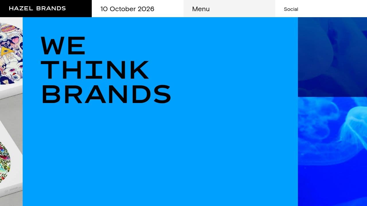 HAZEL BRANDS LIMITED website screenshot