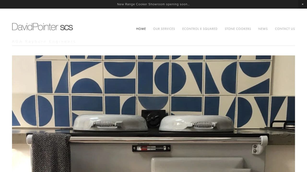 DAVID POINTER SCS LIMITED website screenshot