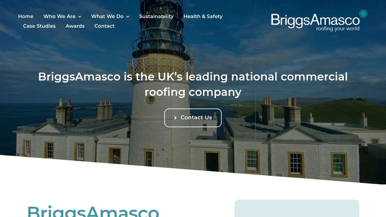 BRIGGS AMASCO LIMITED website screenshot