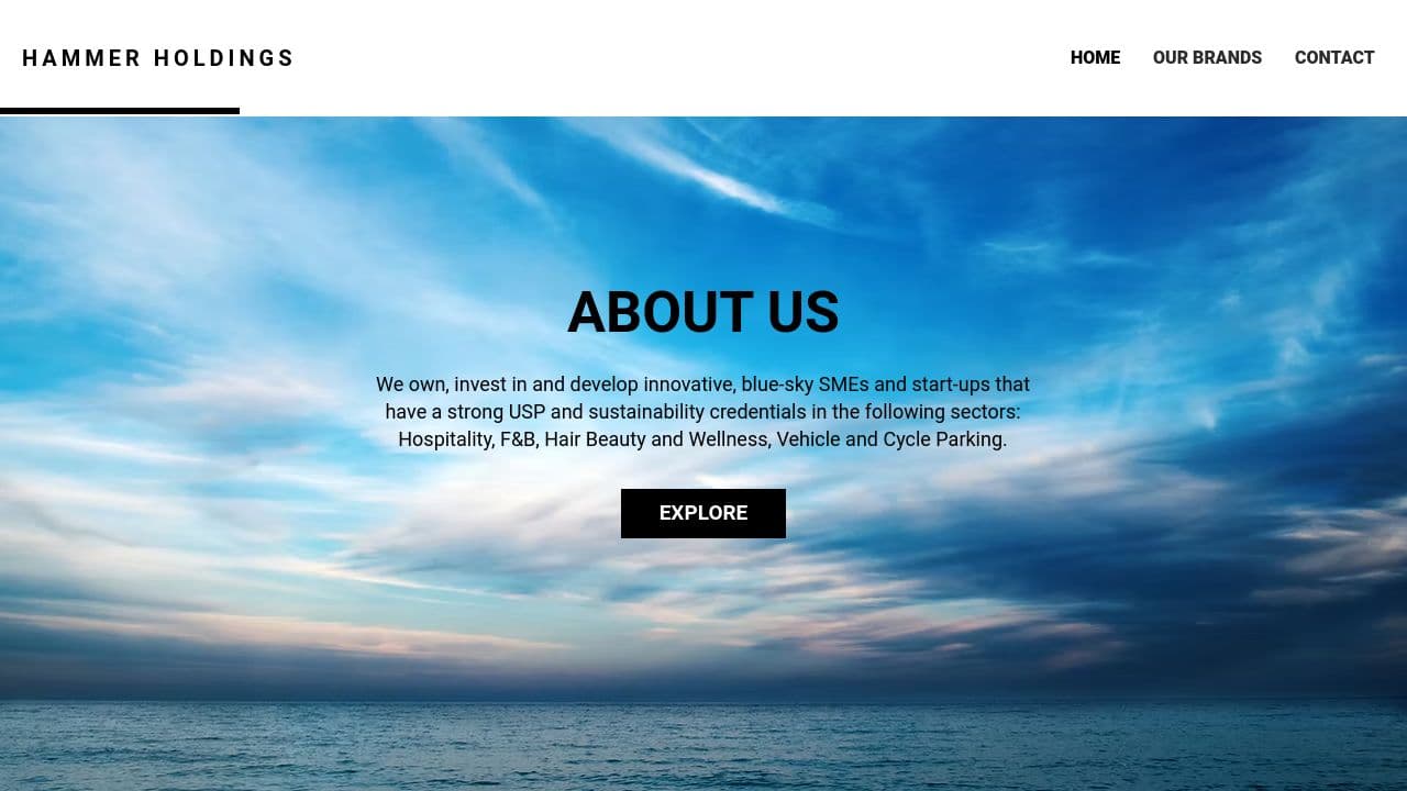 HAMMER HOLDINGS LIMITED website screenshot